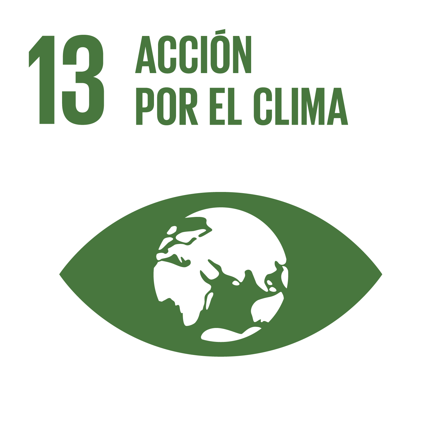 13. Acción por el clima