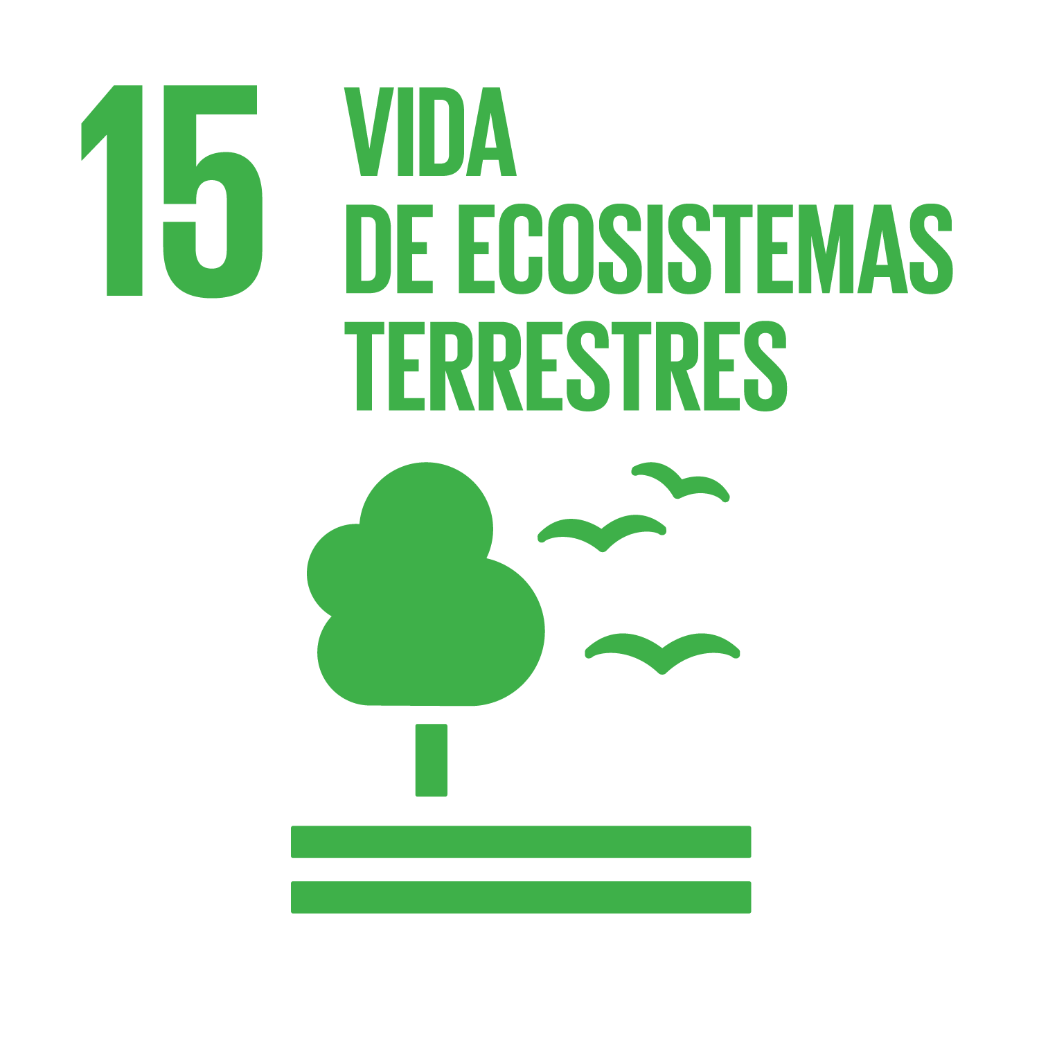 15. Vida de ecosistemas terrestres