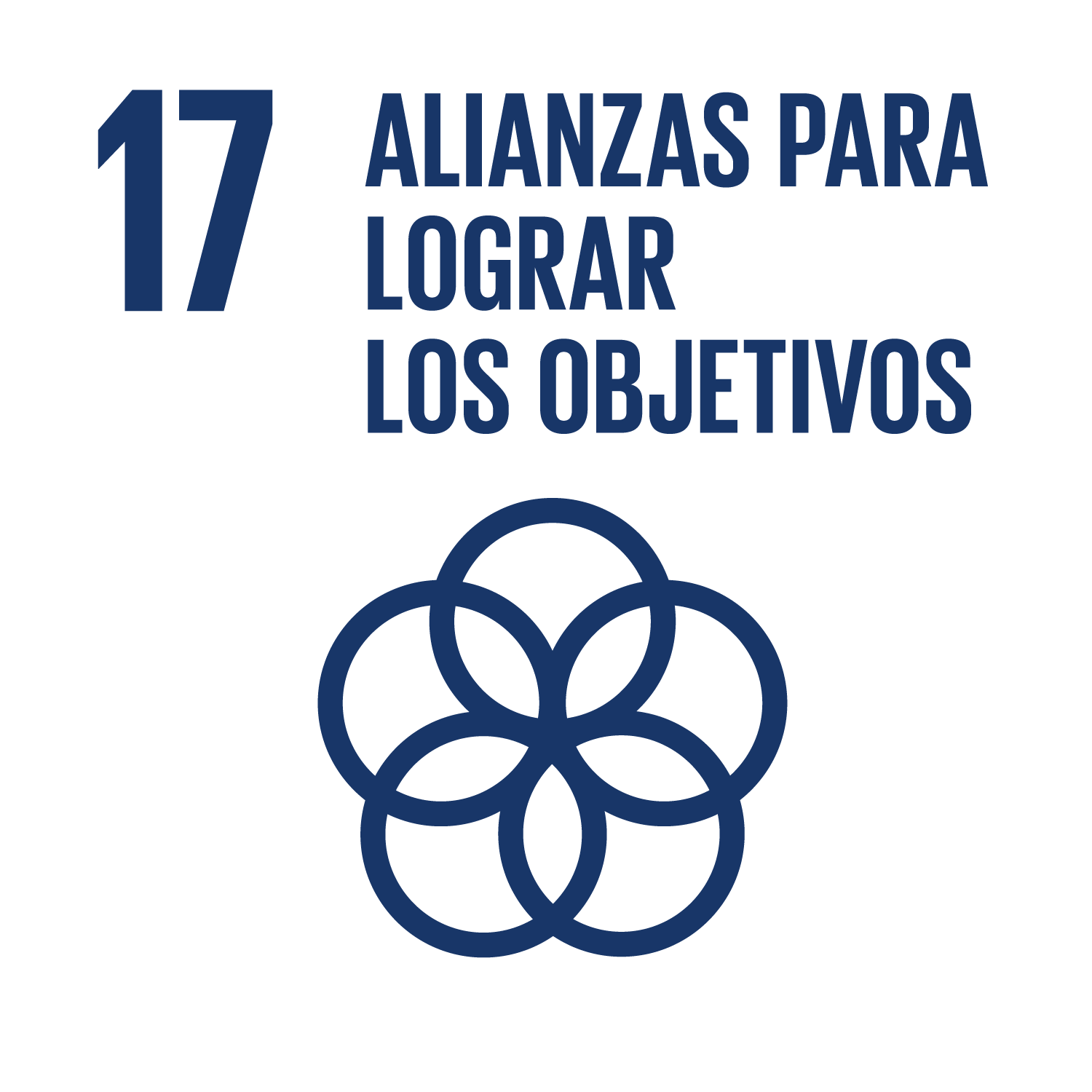 17. Alianzas para lograr los objetivos