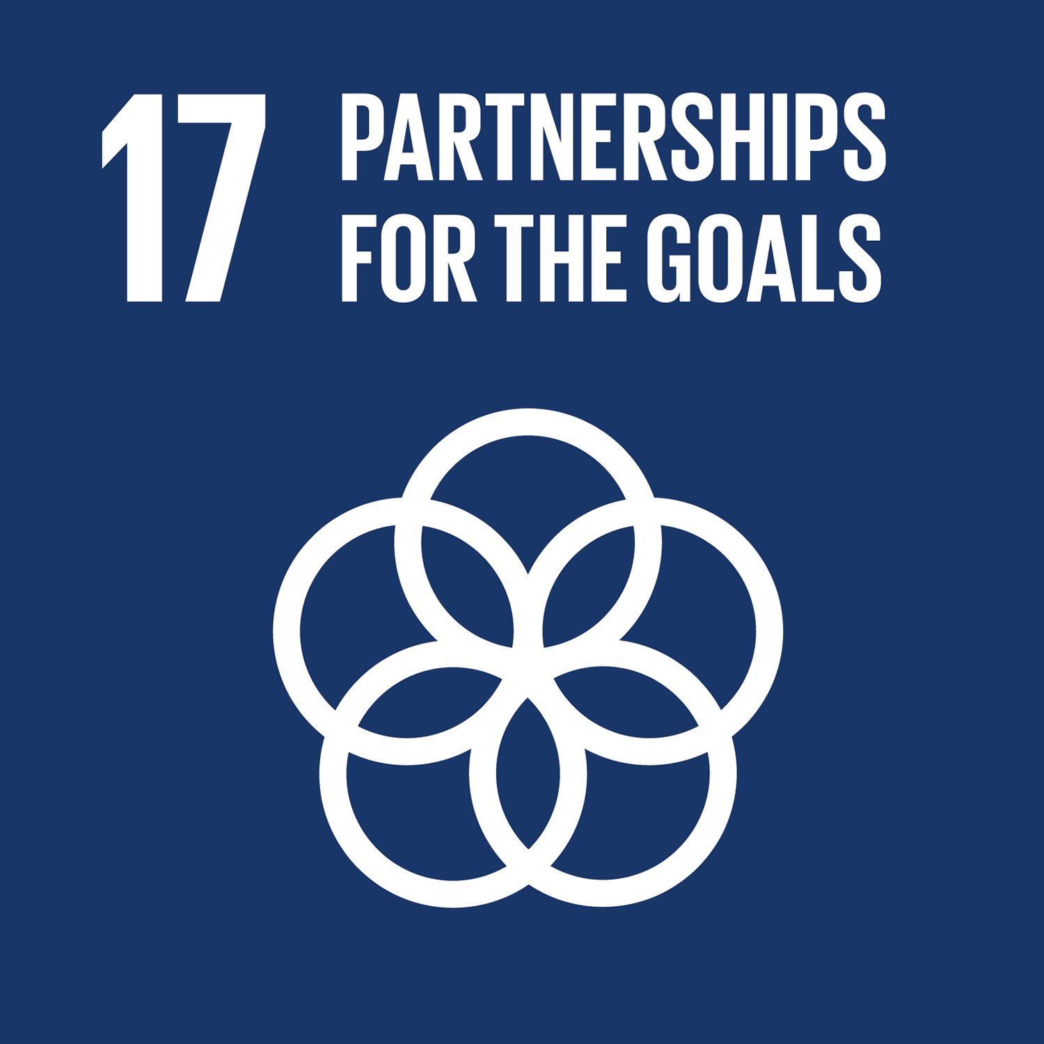 17. Partnership for the goals