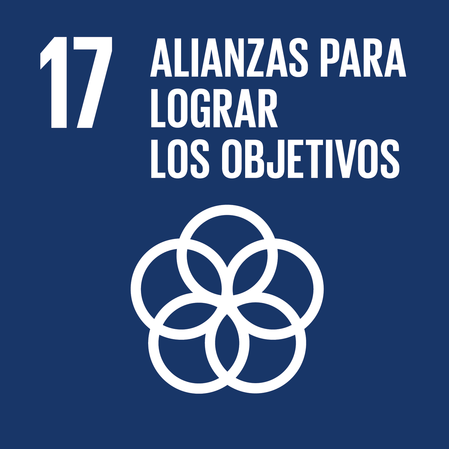 17. Alianzas para lograr los objetivos