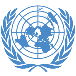 UN System 