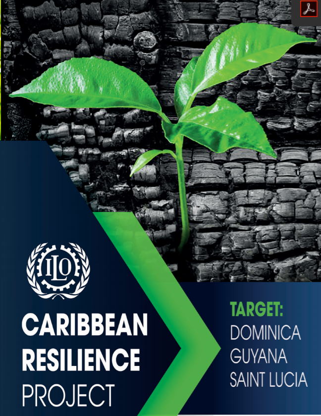 Caribbean Resilience Project | 2030 Agenda In Latin America And The ...