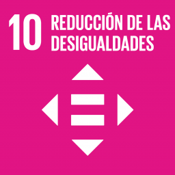 REDUCCION DE LAS DESIGUALDADES