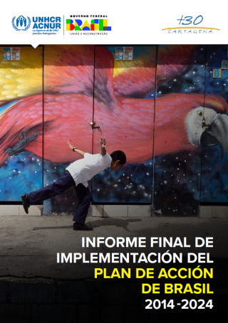 Informe final de implementación del Plan de Acción de Brasil: 2014-2024 