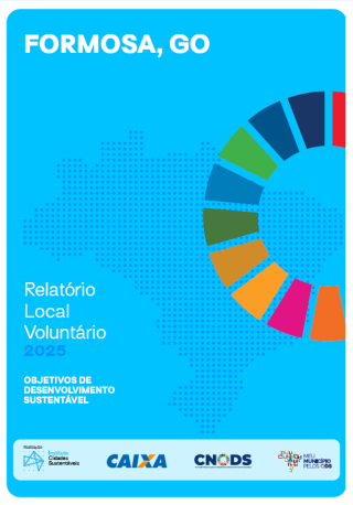 Portada Informe voluntario subnacional -Formosa