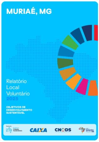 Portada Informe voluntario subnacional -Muriaé
