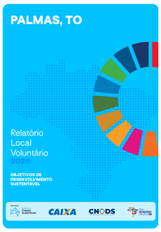 Portada Informe voluntario subnacional - Palmas