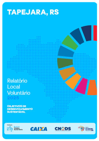 Portada Informe voluntario subnacional - Tapejara