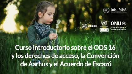 Curso introductorio en línea sobre el ODS 16 y los derechos de acceso, la Convención de Aarhus y el Acuerdo de Escazú